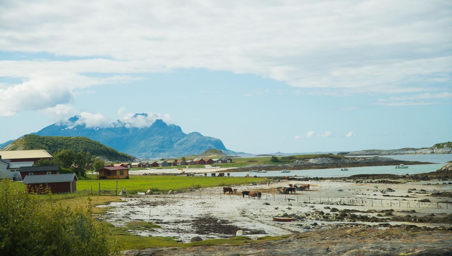Kjerringøy Old Coastal Trading Post