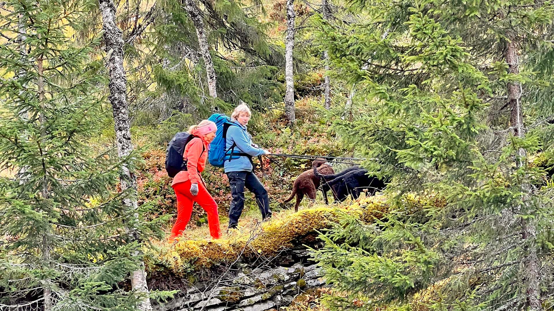 Verdal Høgfjellstøtta o Karl Johans veg (36)
