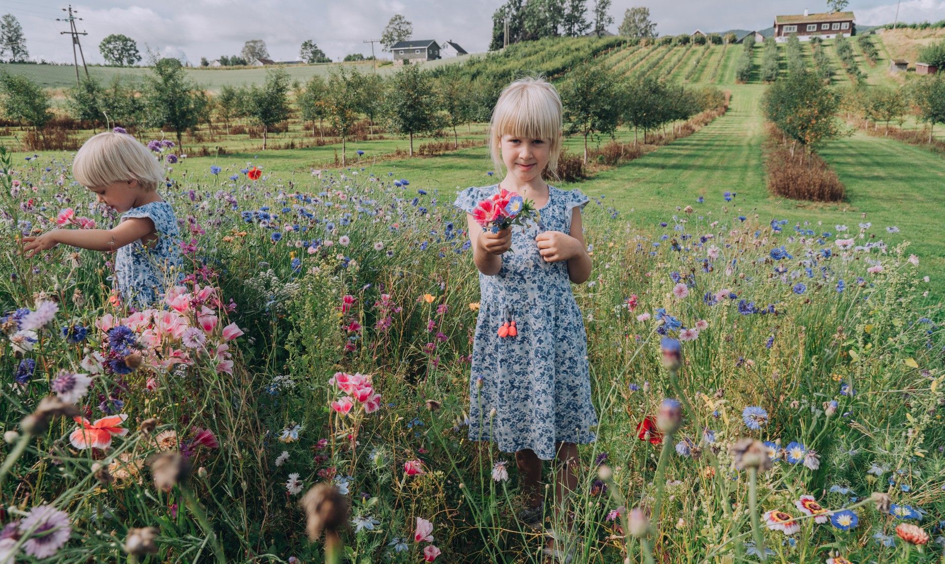Jenter i blomsterenga på Lindheim.