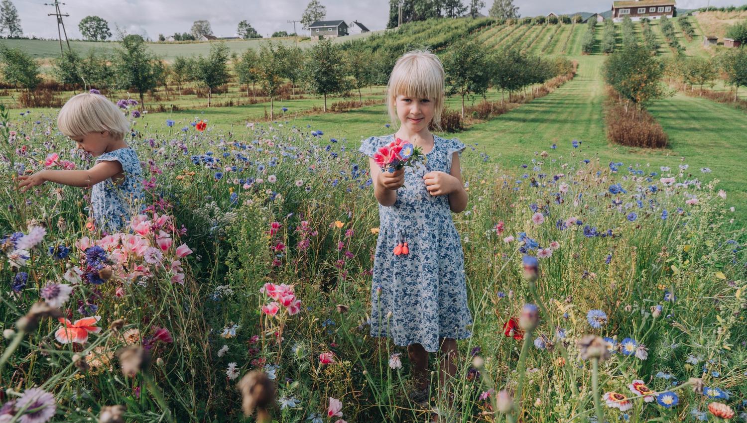 Jenter i blomsterenga på Lindheim.