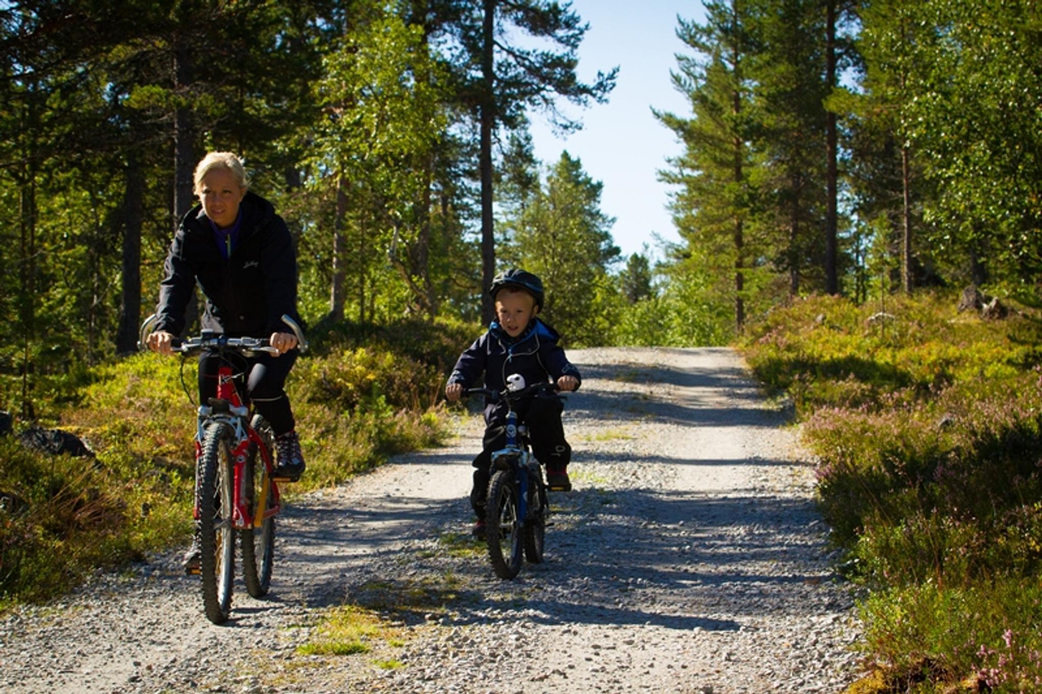 Sykkelopplevelser i Femund Engerdal