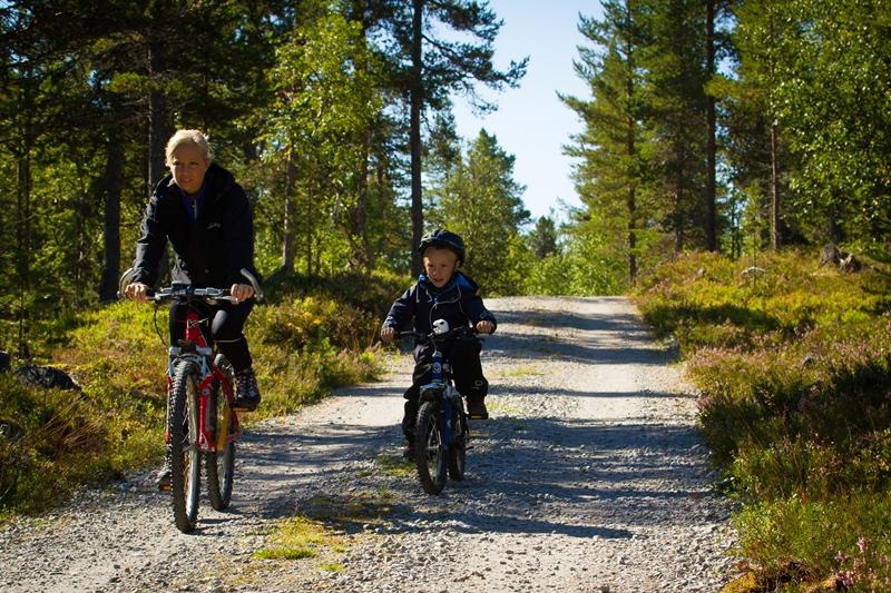 Sykkelopplevelser i Femund Engerdal