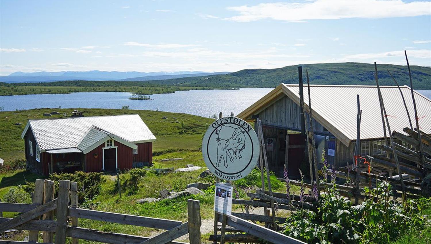 Almkäse von Olestølen Mikroysteri