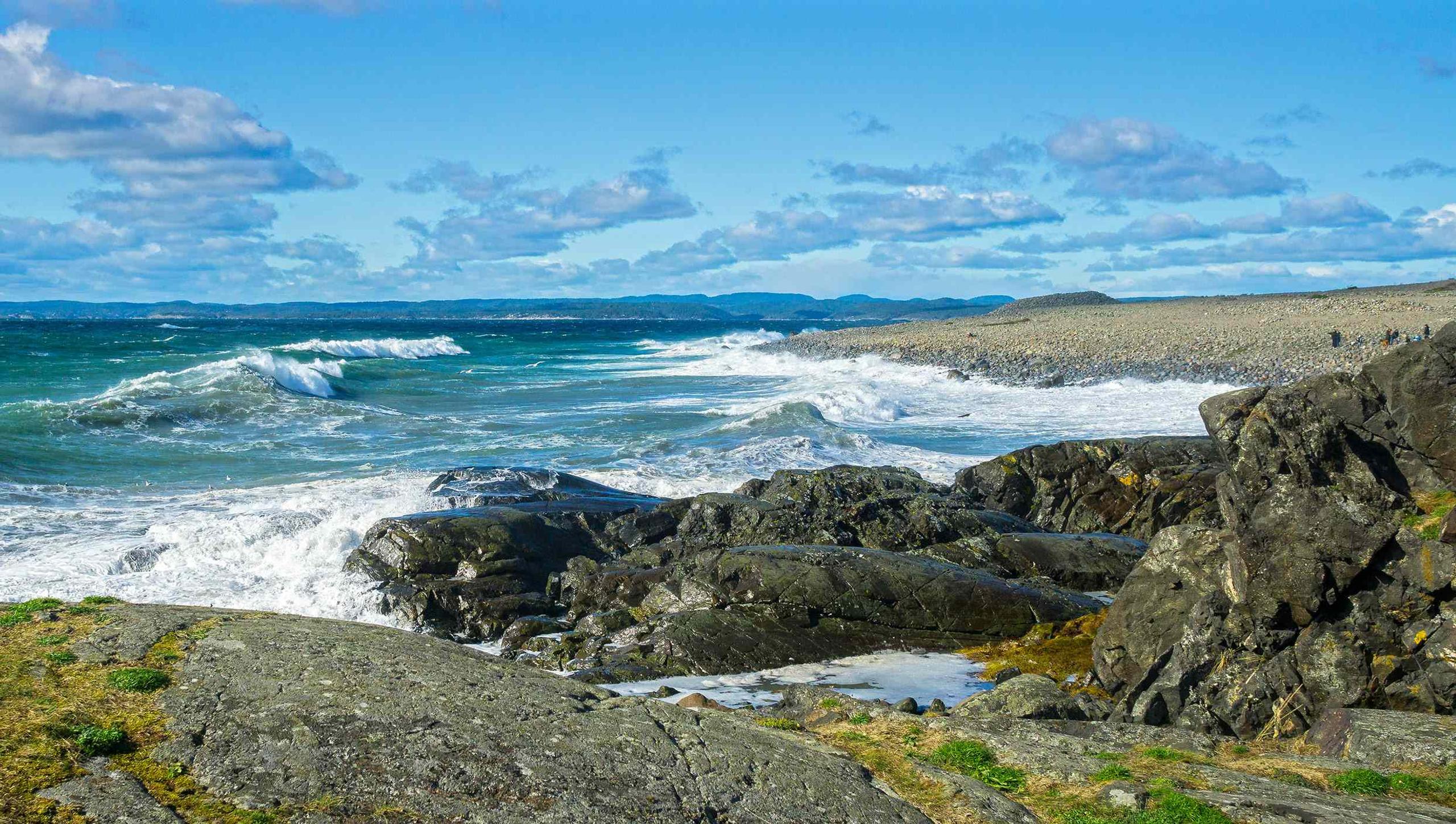 Mølen
