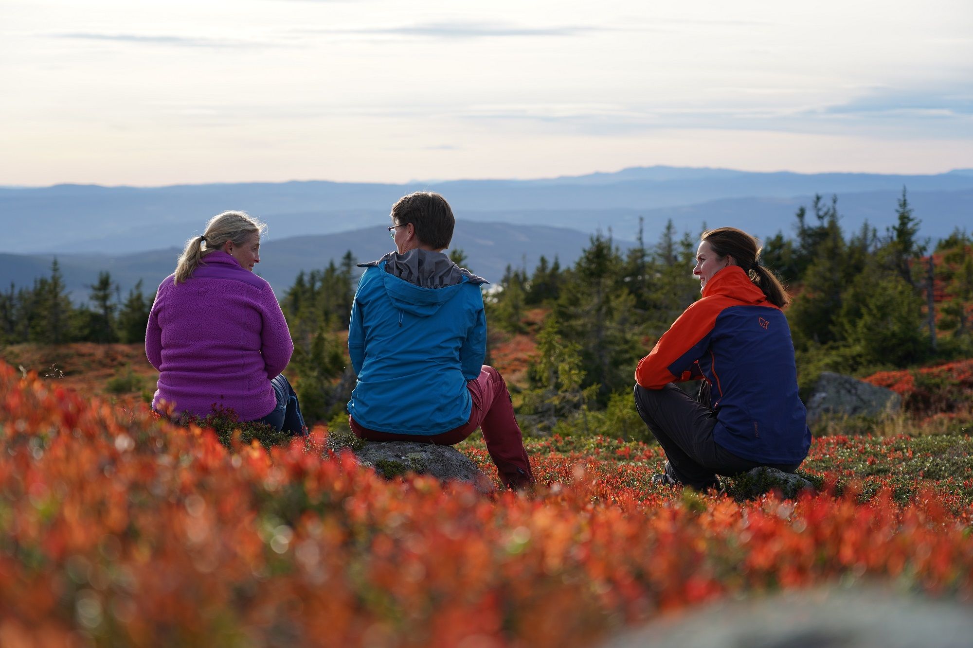 Hiking at Sjusjøen