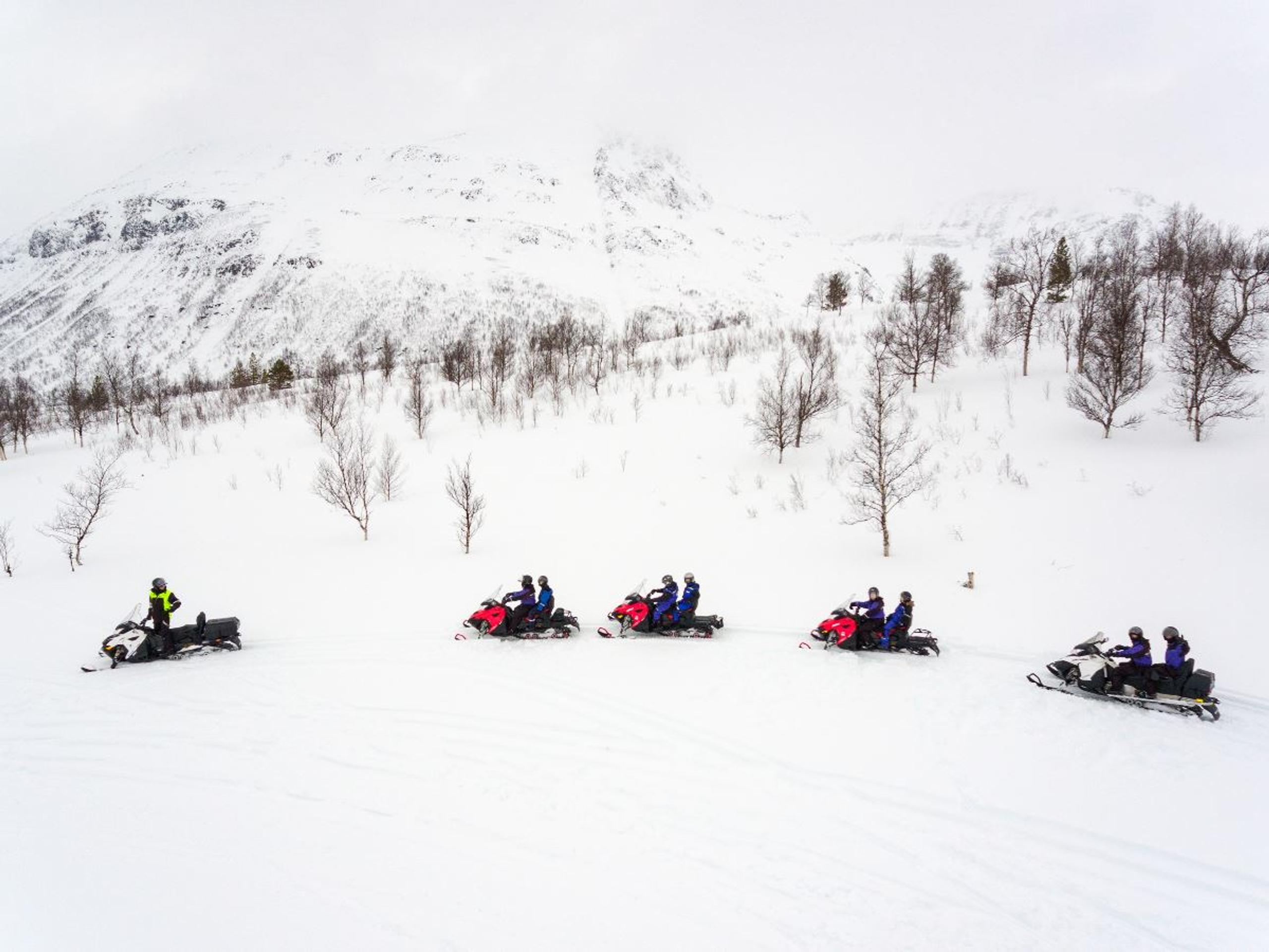 Snowmobiling, Ice Domes Guided Tour & Reindeer Visit - Incl. Transport