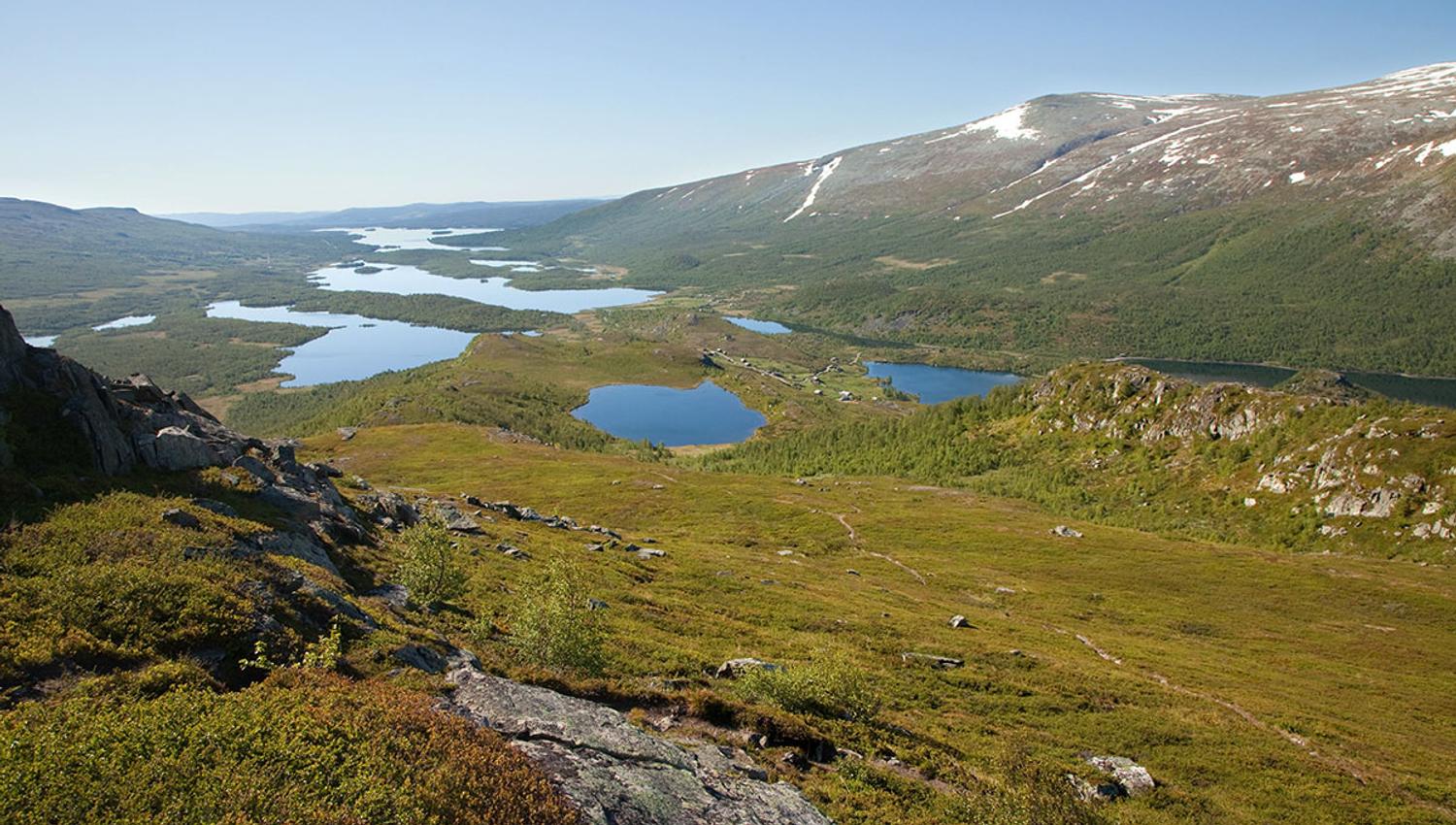 Nøsakampen, utsikt på veien opp
