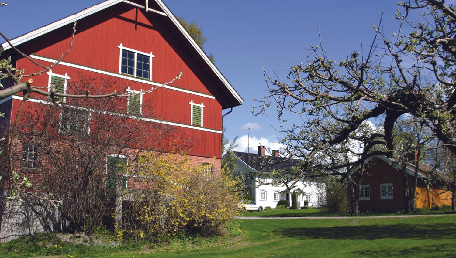 Nyhuus