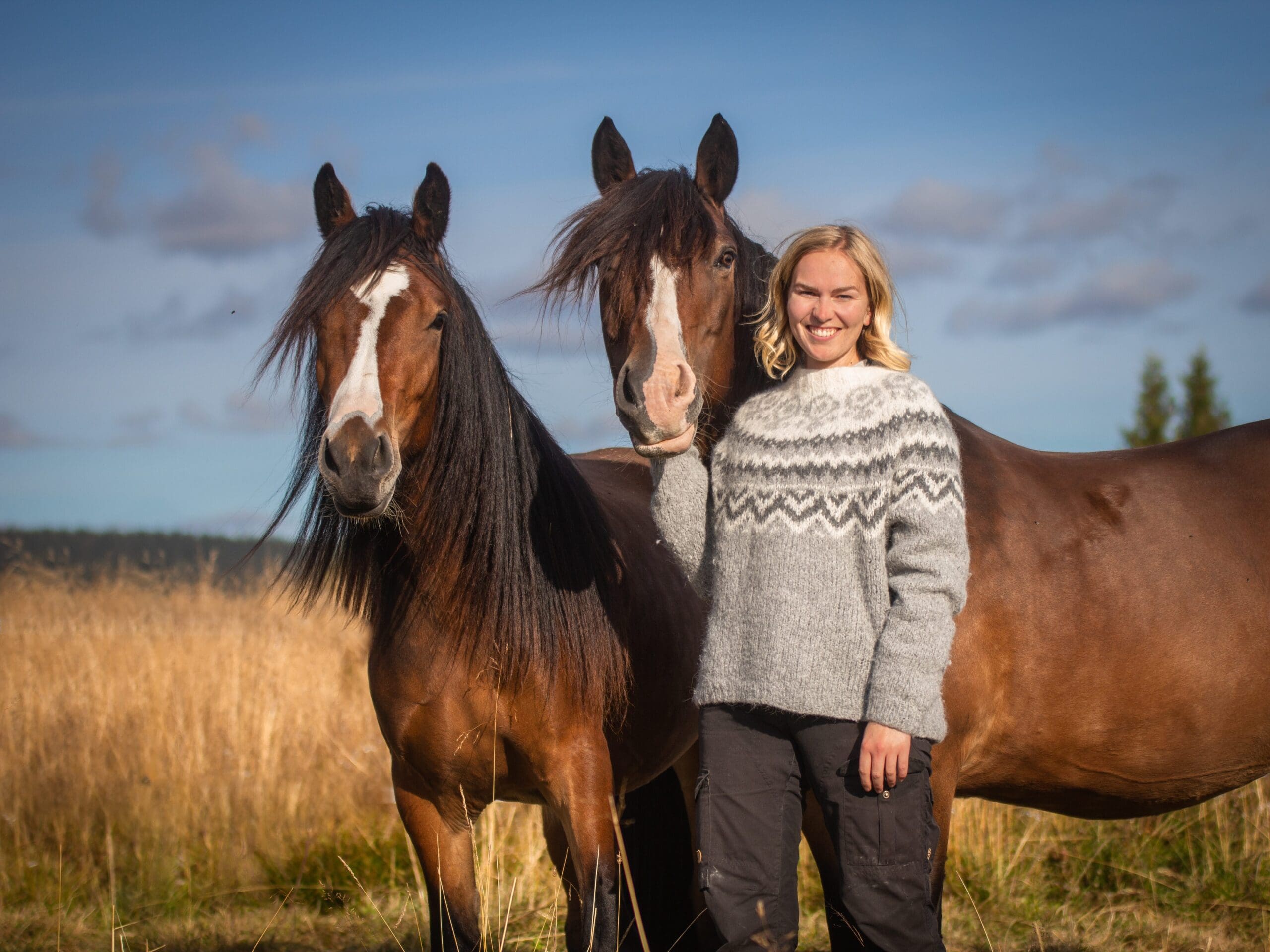 Venabustallens Dølahester