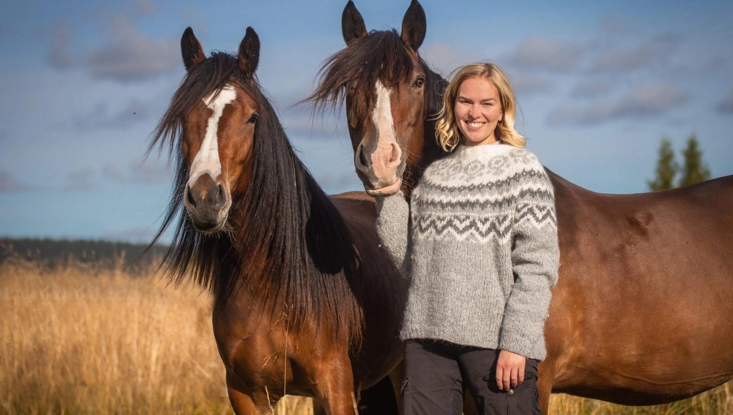 Venabustallens Dølahester
