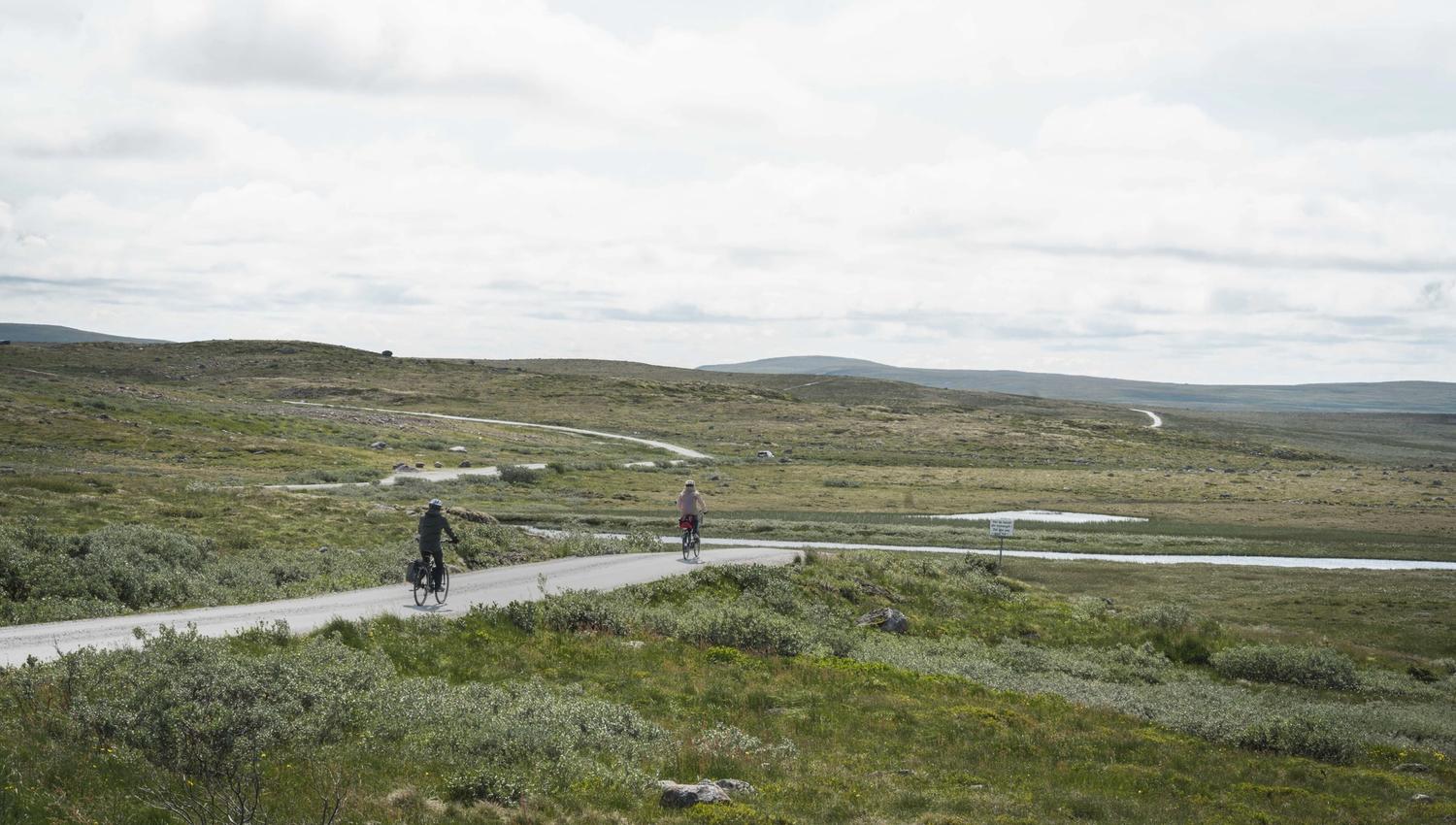 2 bikers on the Tinnhølen mountain road, surrounded by mountain greenery.