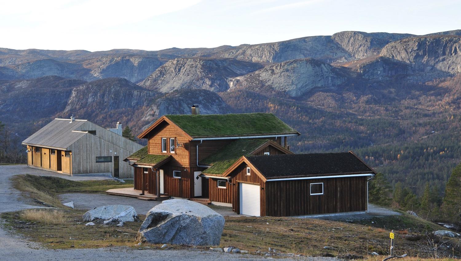 Kvisletoppen