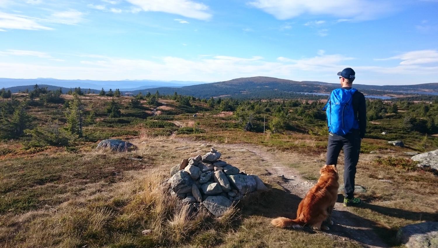 Many hiking possibilities at Nordseter