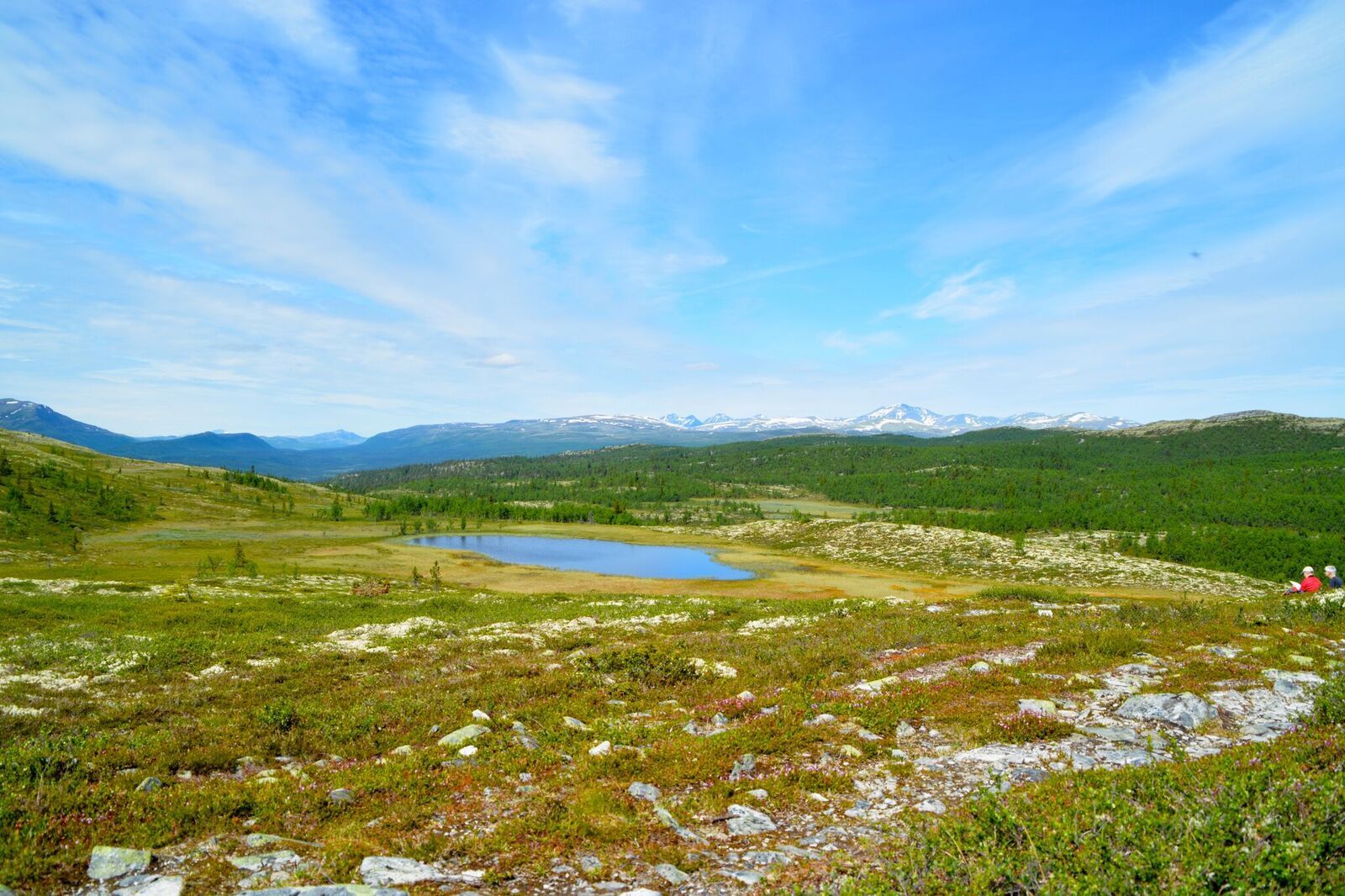 Svartfjellrunden