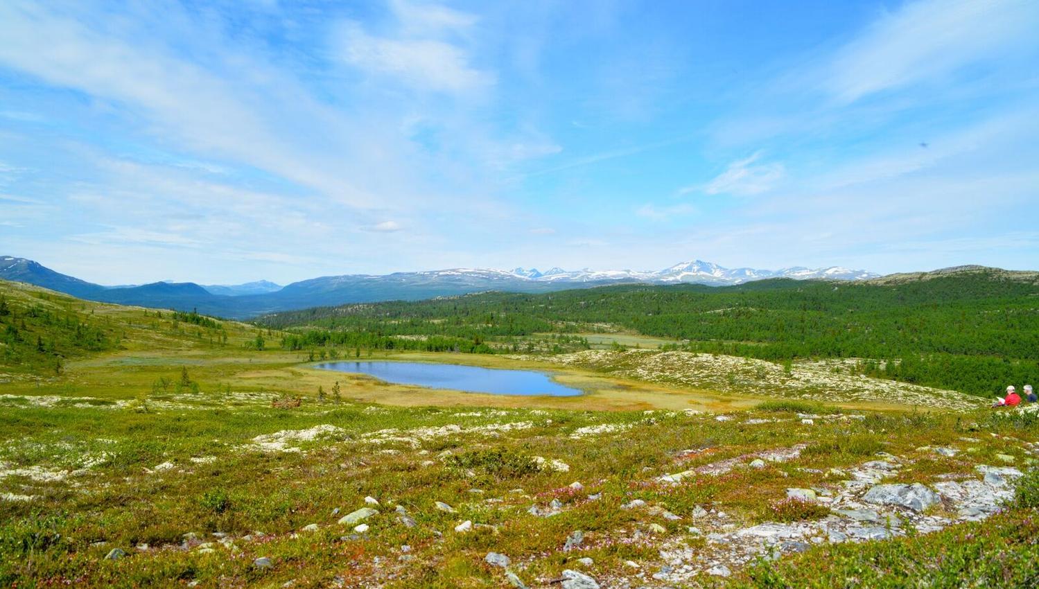 Svartfjellrunden