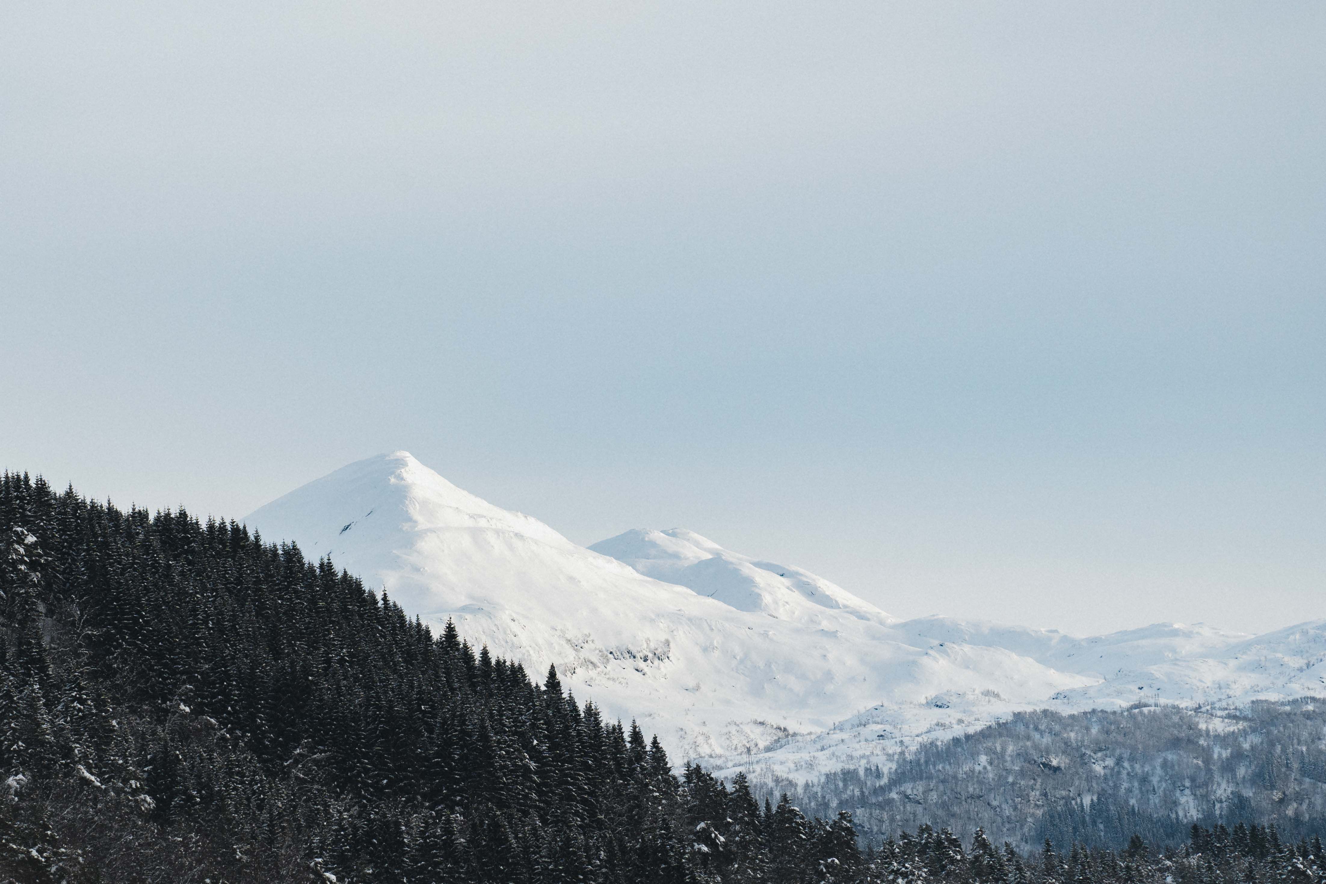 View towards a pointy mountain and a spruce forest. 