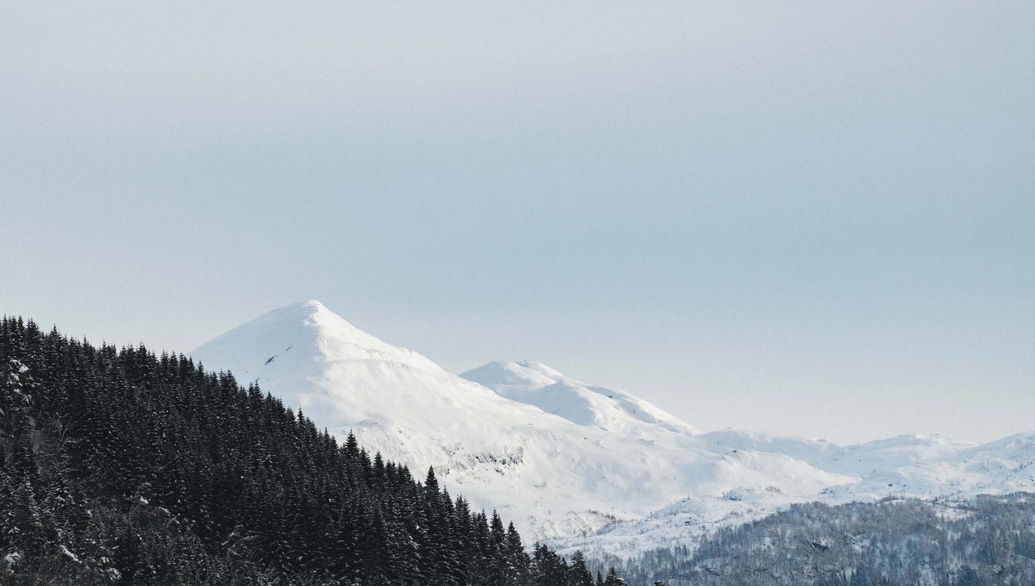 View towards a pointy mountain and a spruce forest.