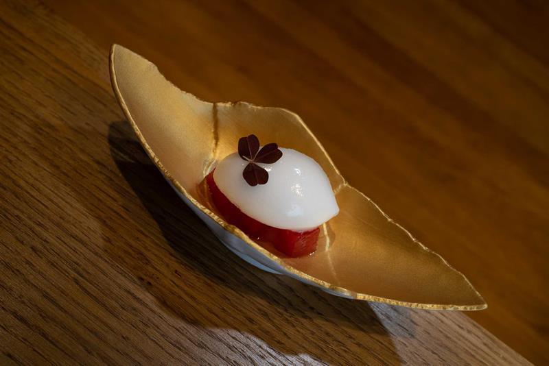 Detail of sorbet