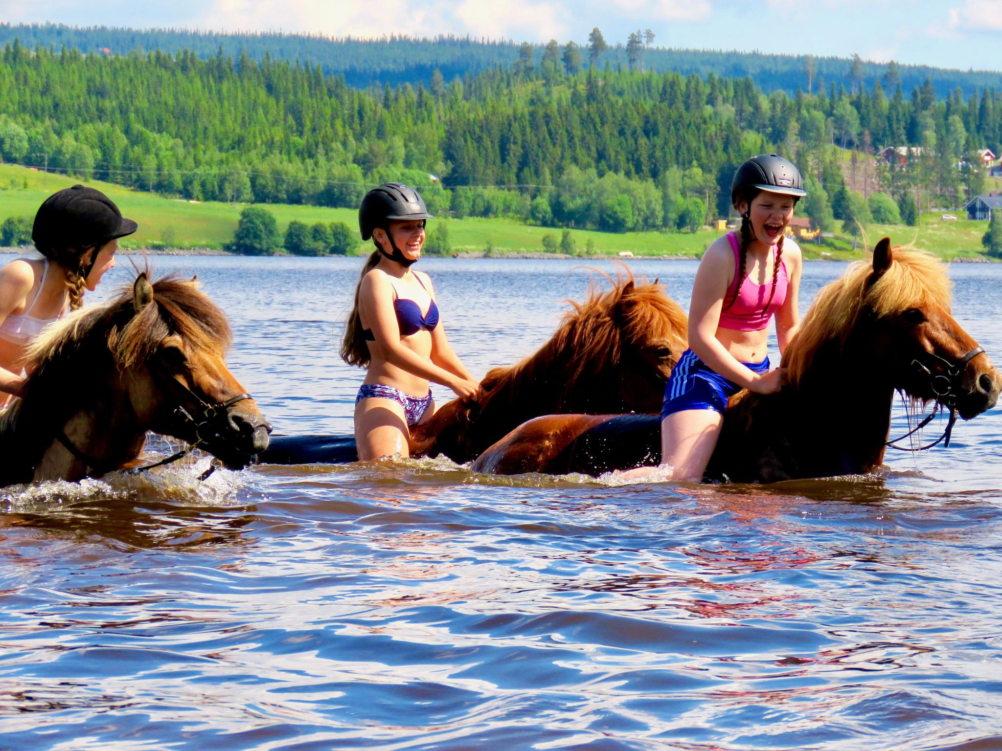 Horseback experiences - Mesna Activities & Accommodation