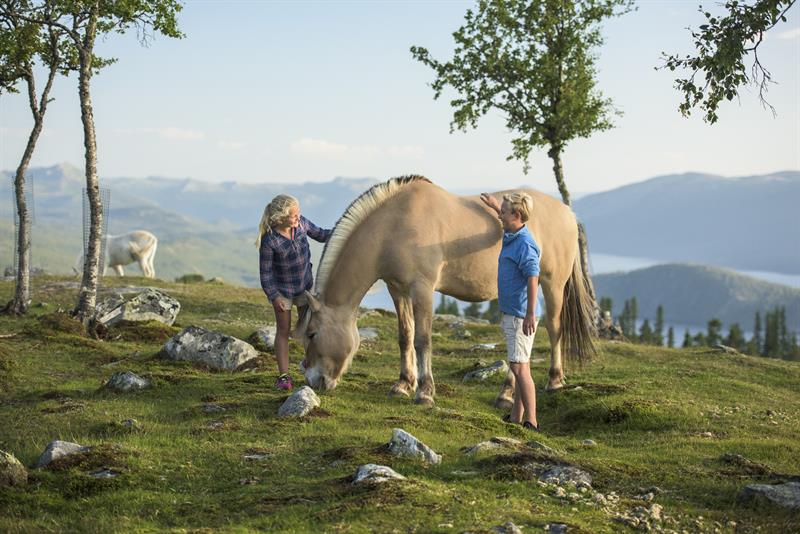 kose tid med hest