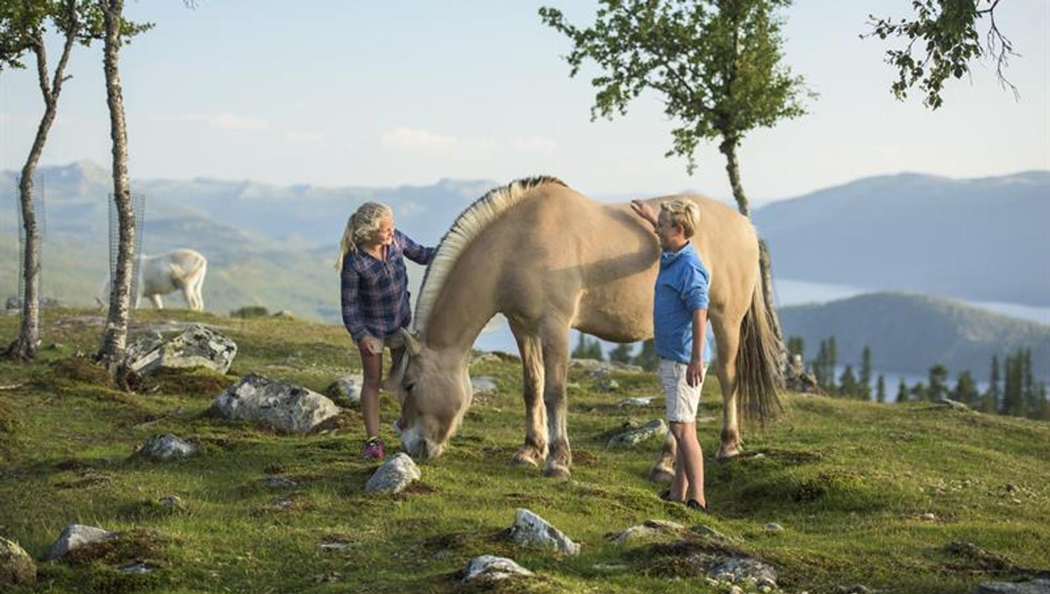 kose tid med hest