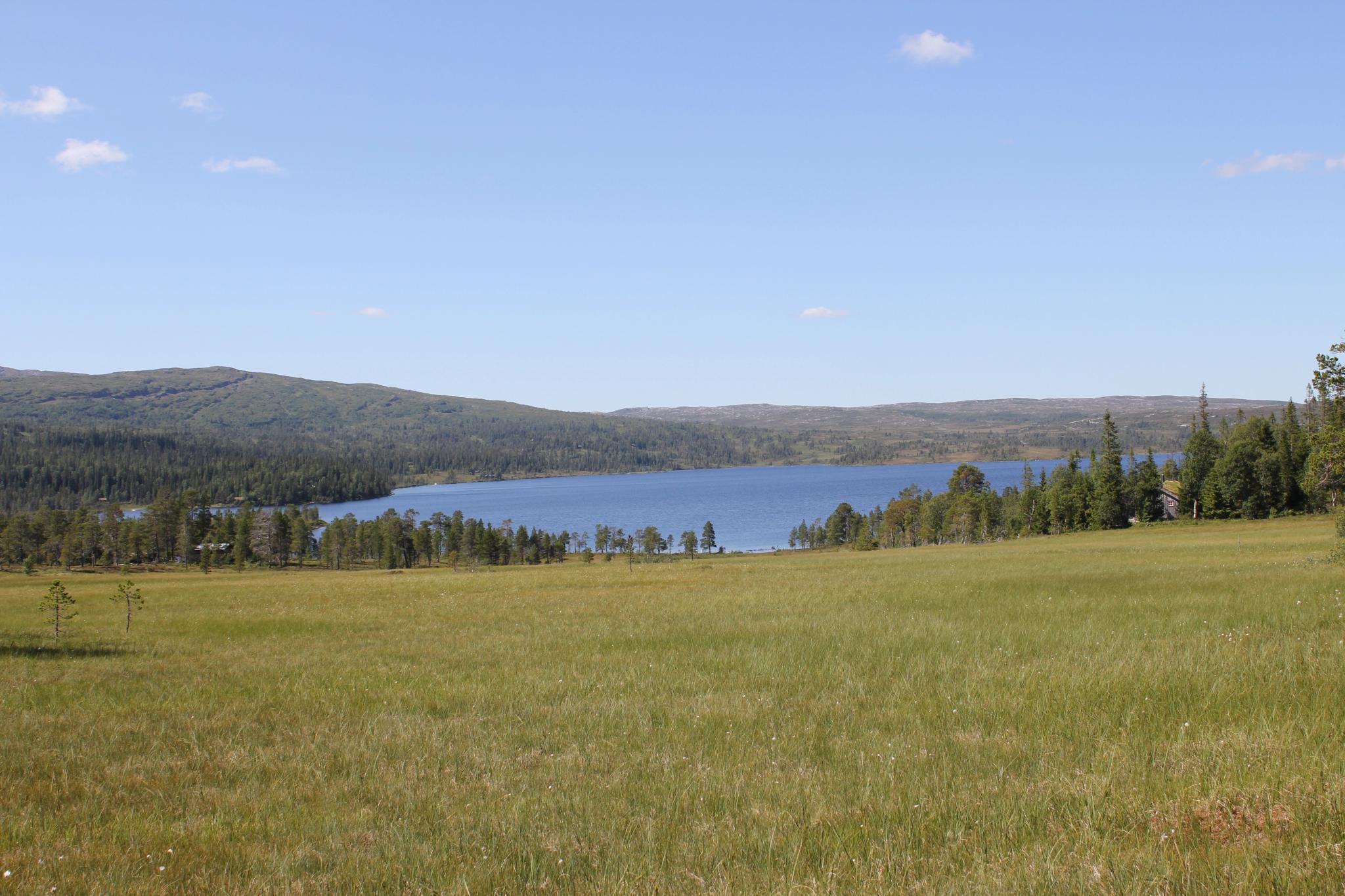 Ausgangspunkt Grøningen - Blåfjella-Skjækerfjella Nationalpark