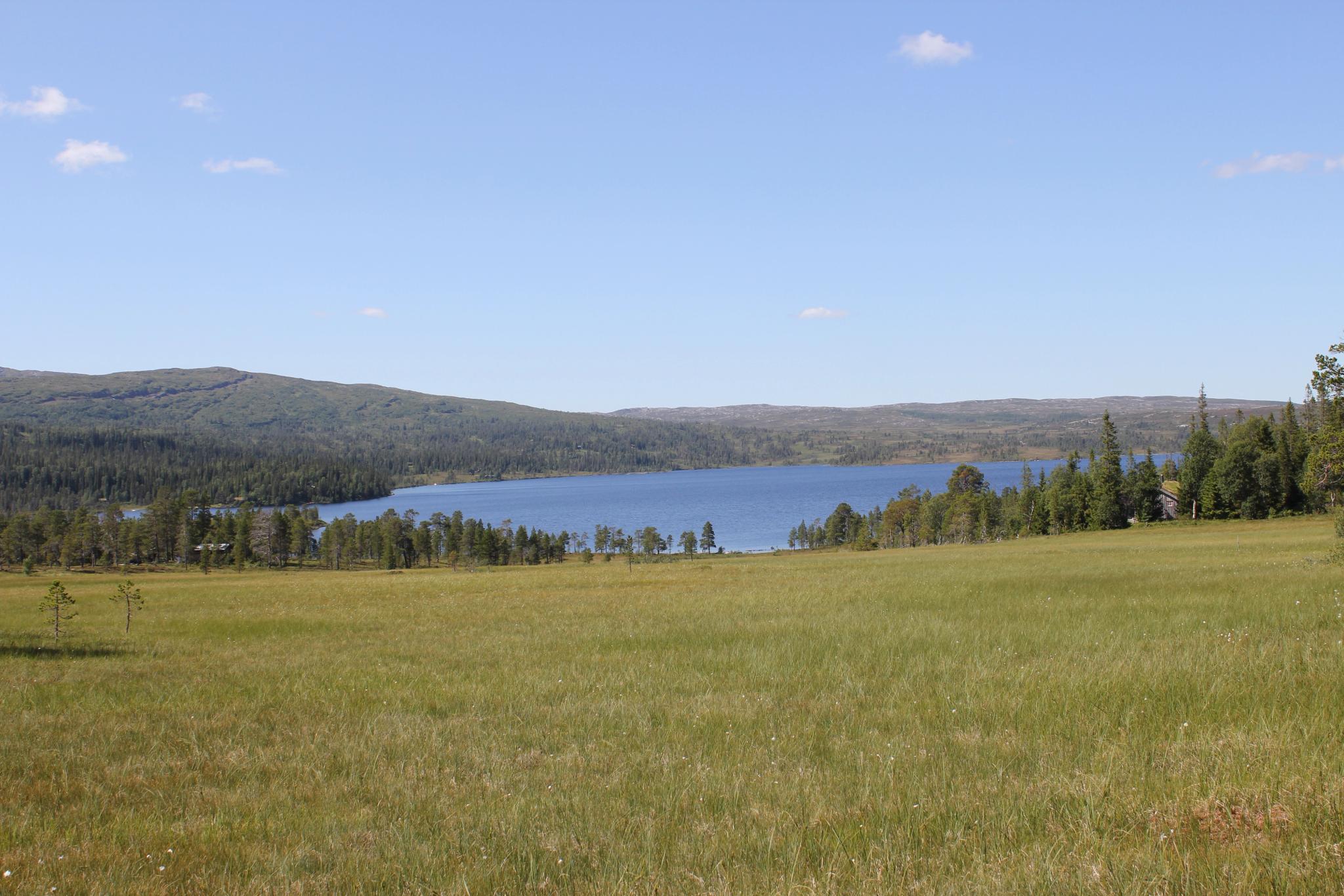 Ausgangspunkt Grøningen - Blåfjella-Skjækerfjella Nationalpark