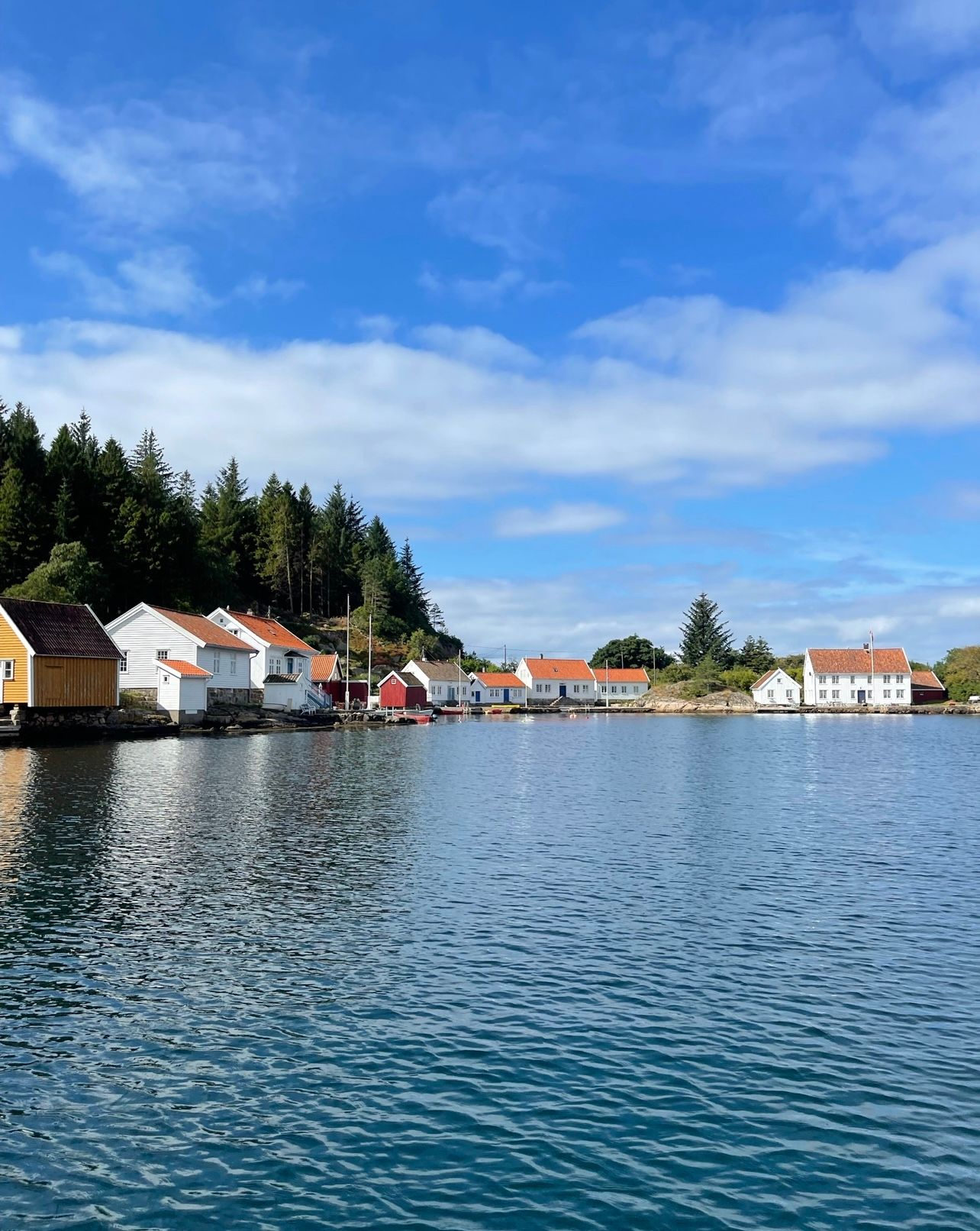 View of the houses near the water