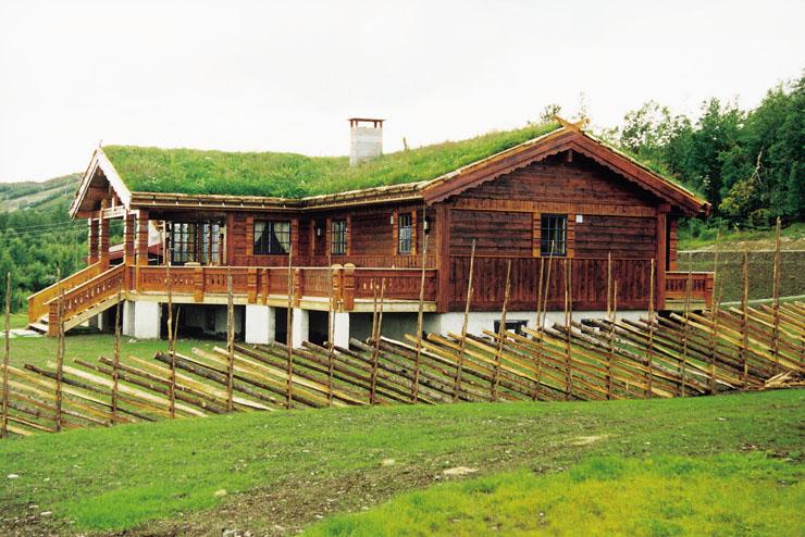 Cabins in Beitostølen, Valdres for rent
