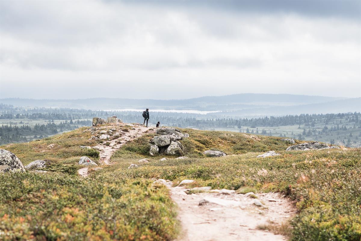 View from a mountain path across valley and plateau