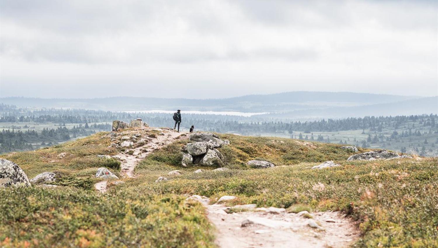 View from a mountain path across valley and plateau