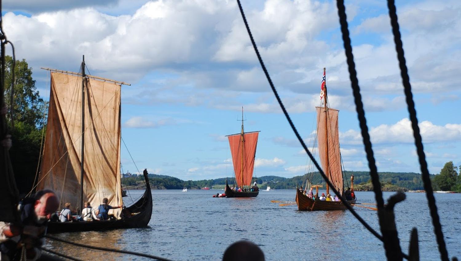 Mange vikingskip