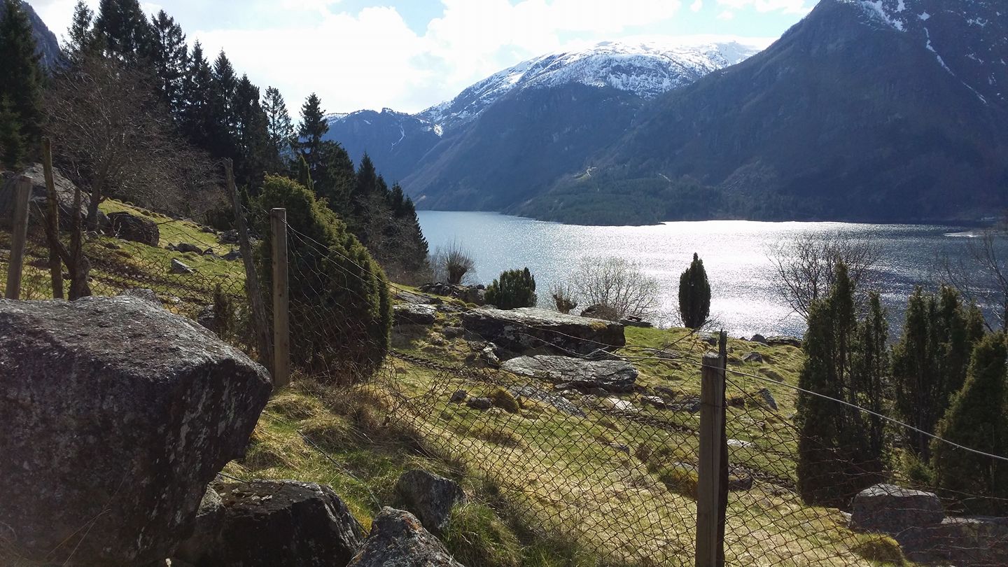 The Hjøllo–Mannsåker cultural trail winds along the fjord, offering views of steep mountains and shimmering water.
