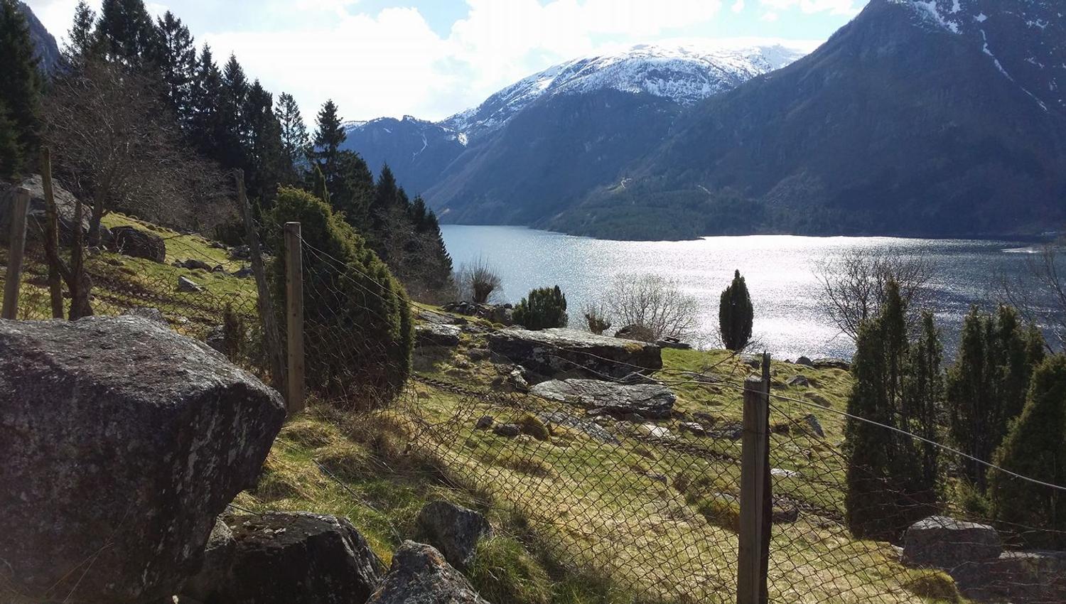 The Hjøllo–Mannsåker cultural trail winds along the fjord, offering views of steep mountains and shimmering water.