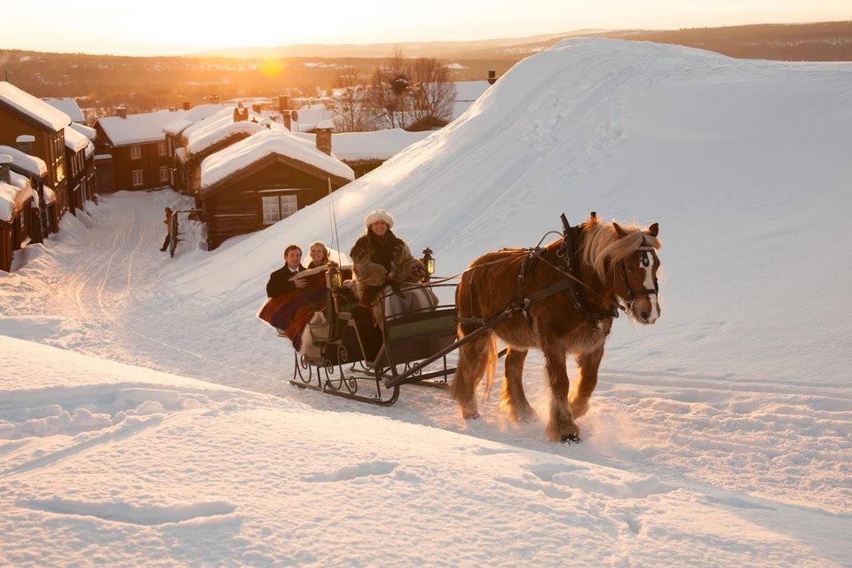 Horse and sleigh ride in Røros