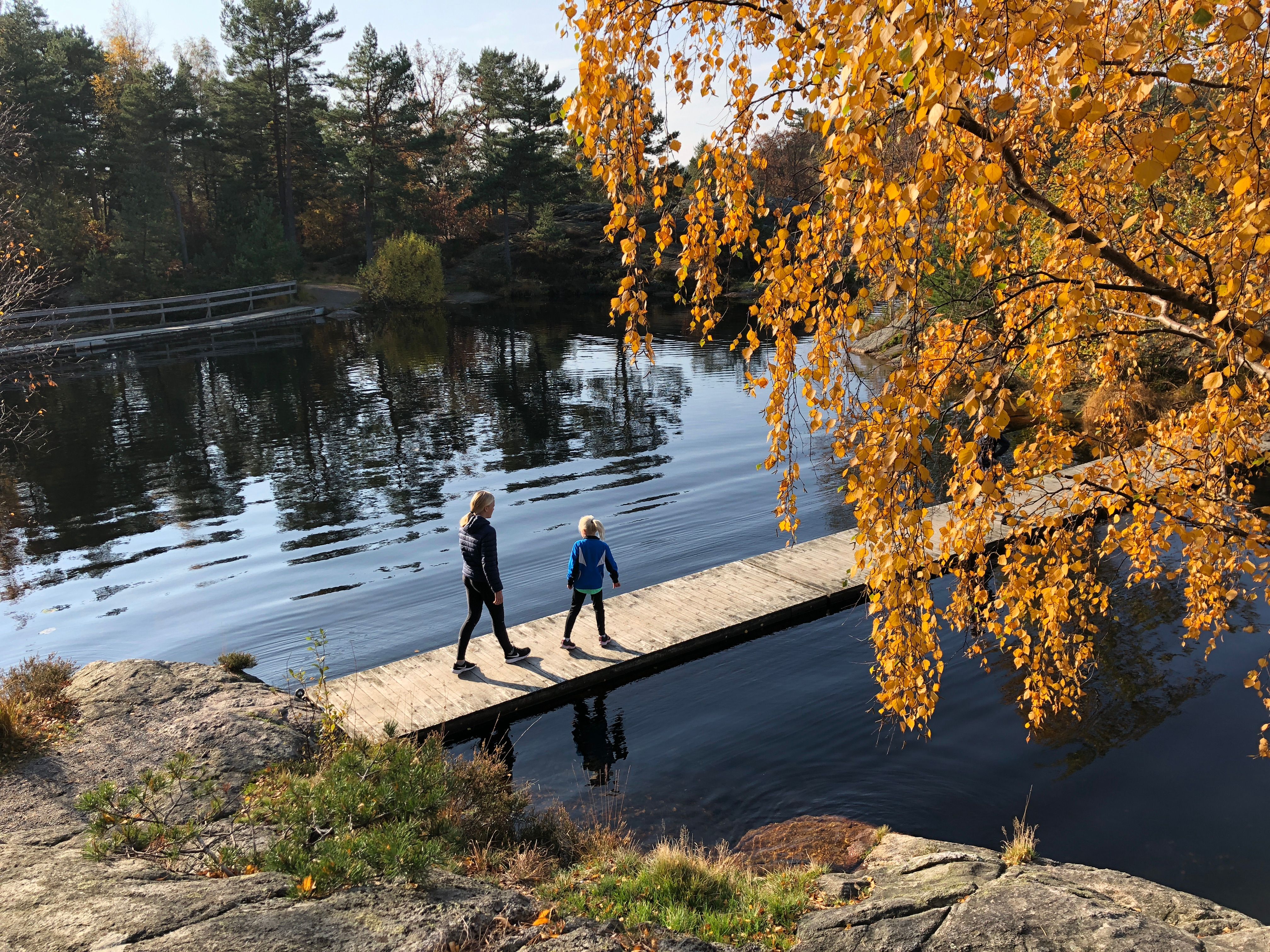 Høst i Baneheia