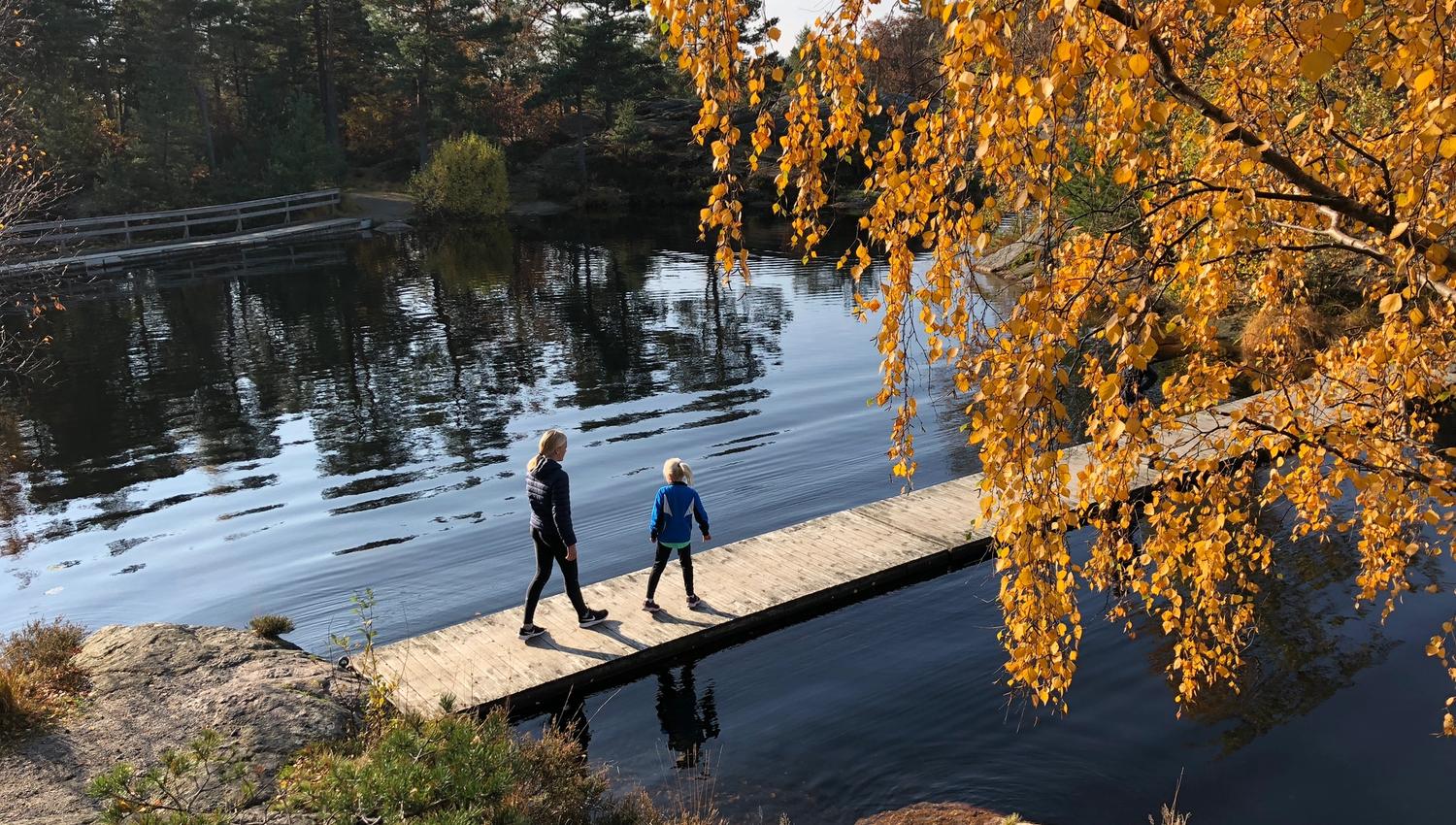 Høst i Baneheia