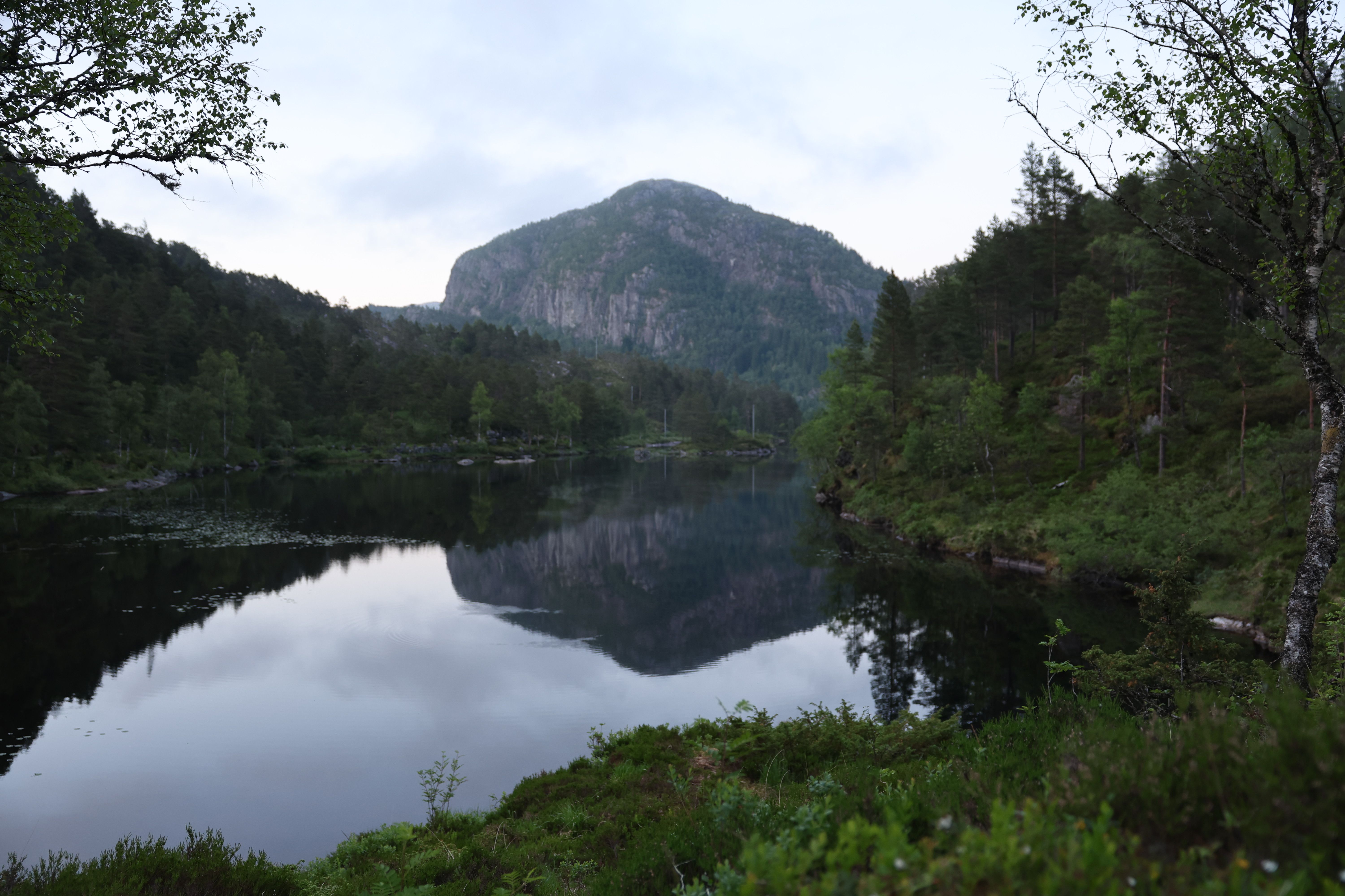Træet gård - Osterøy