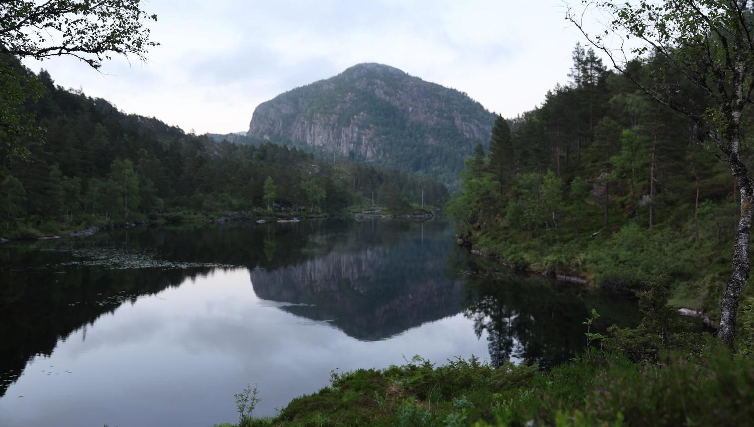 Træet gård - Osterøy