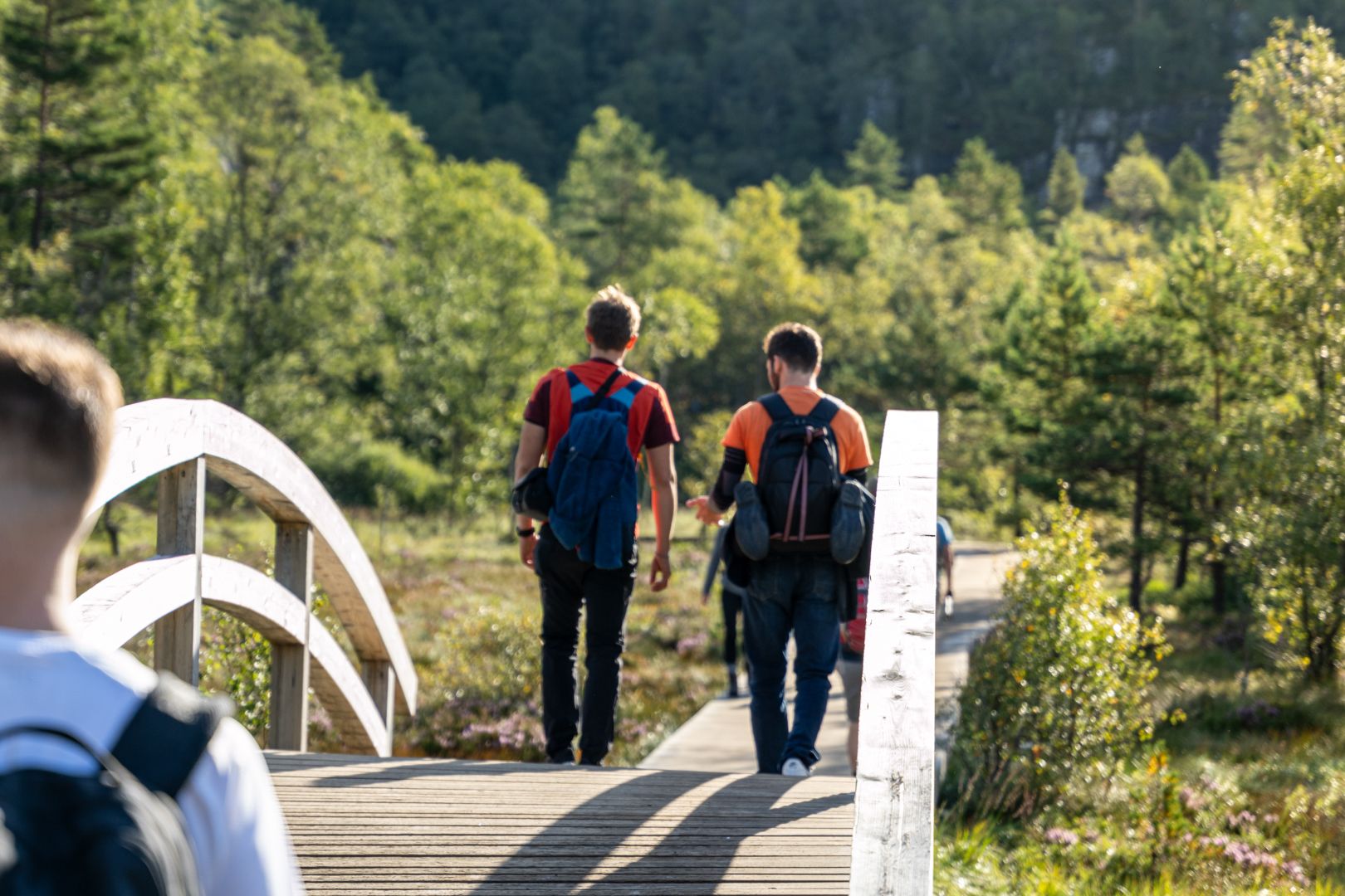 On your way to Preikestolen