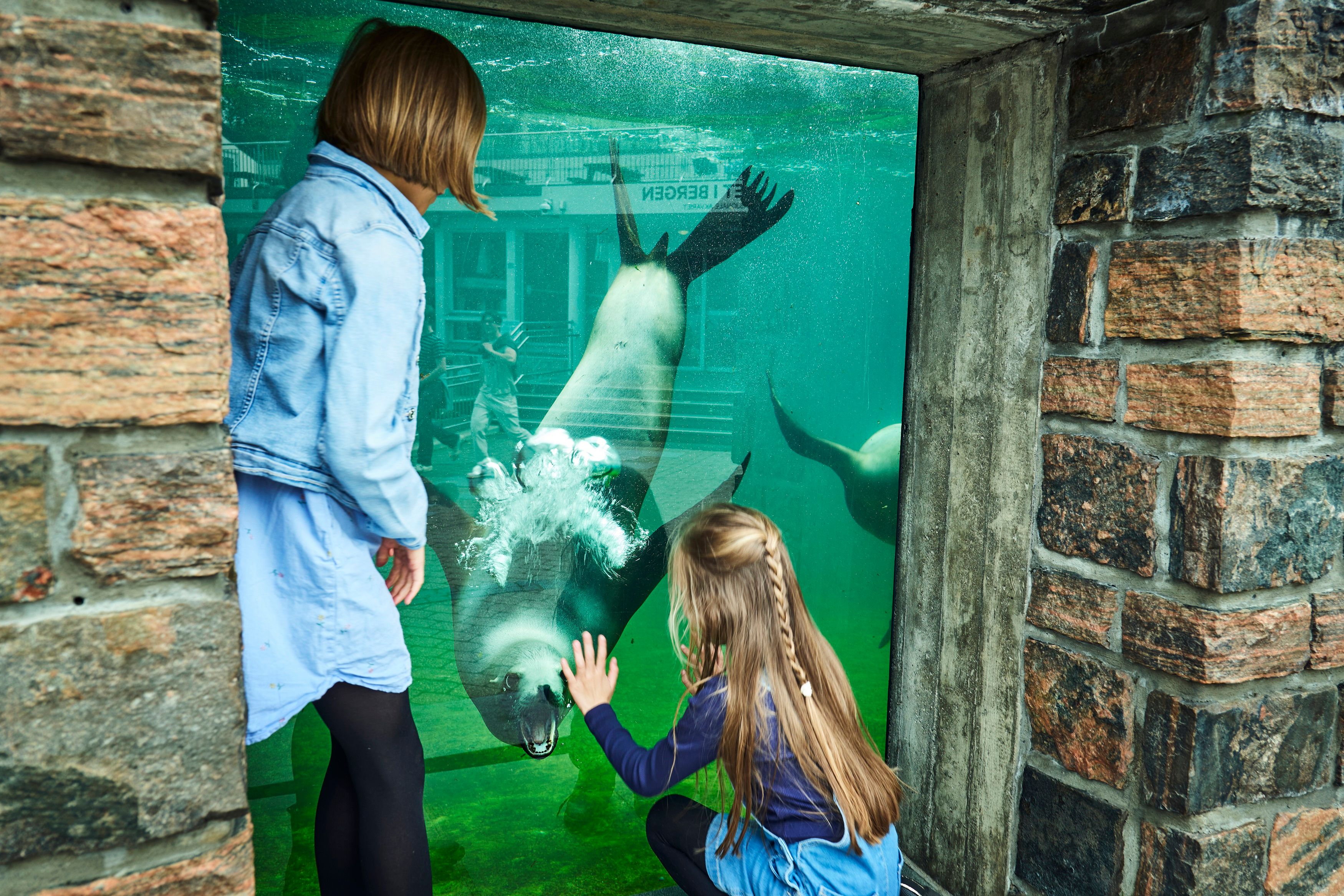 Bergen Aquarium