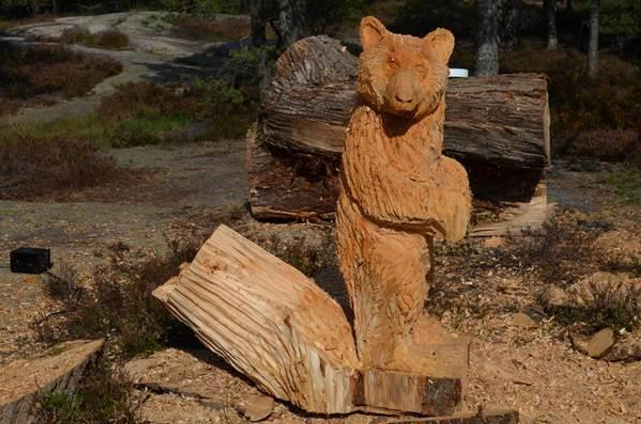 Bear trail in Fredrikstad - The childrens own hiking trail in Bjørndalen