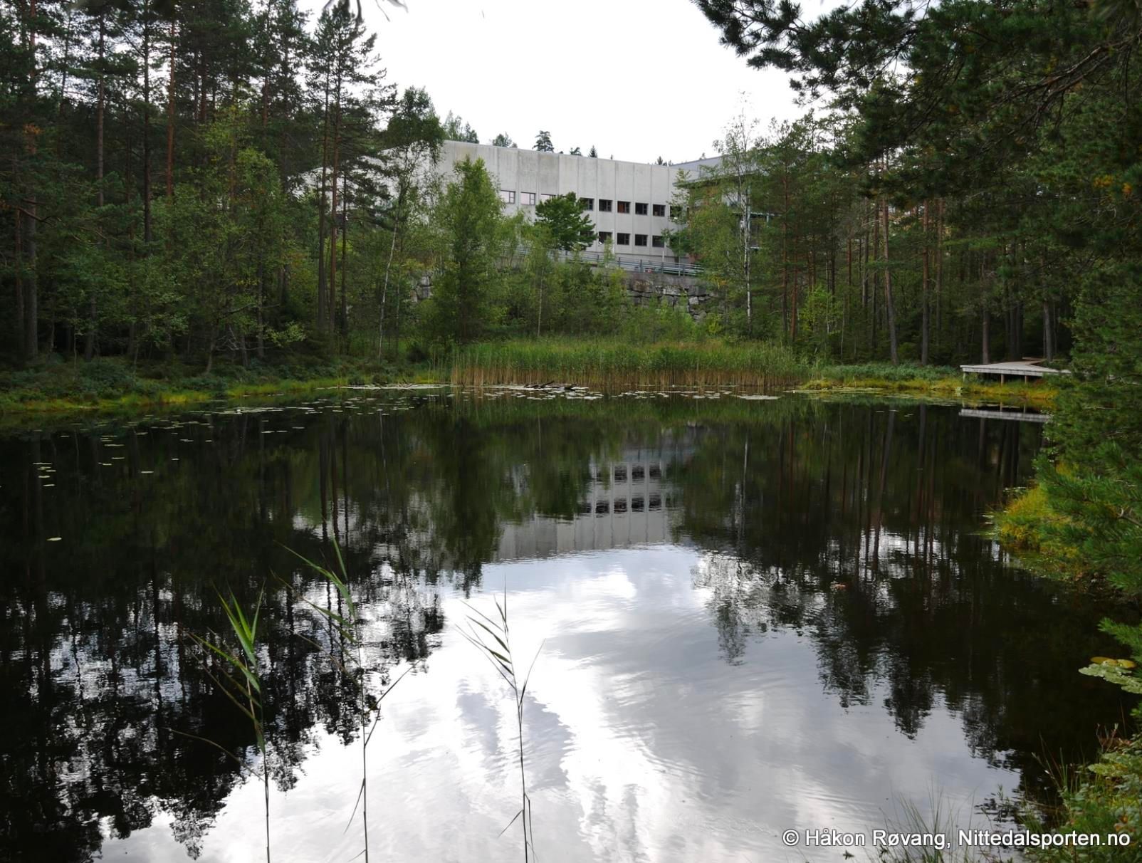 Salamanderparken