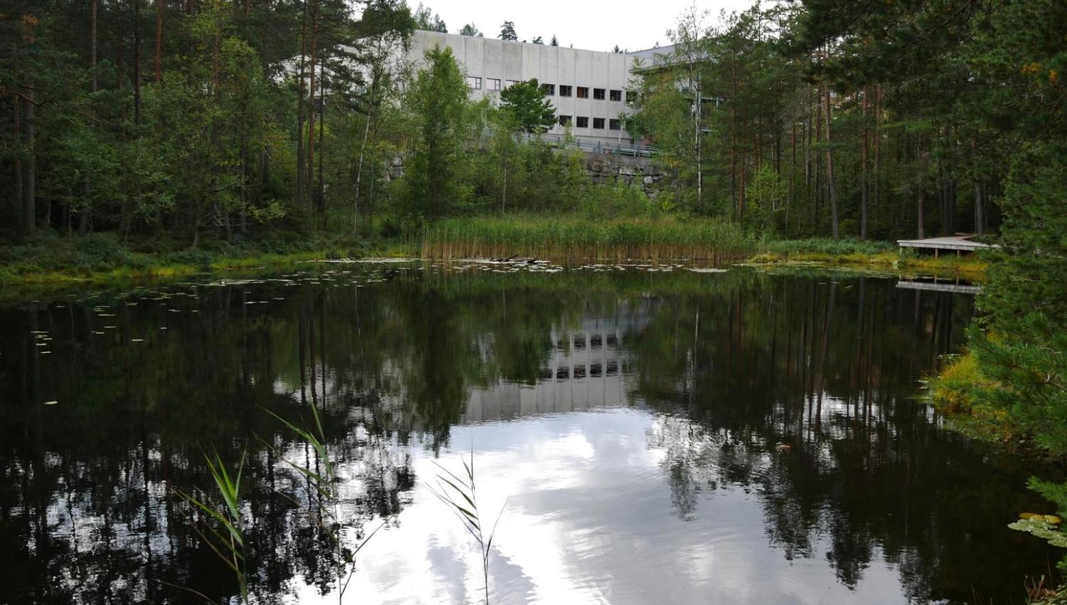 Salamanderparken