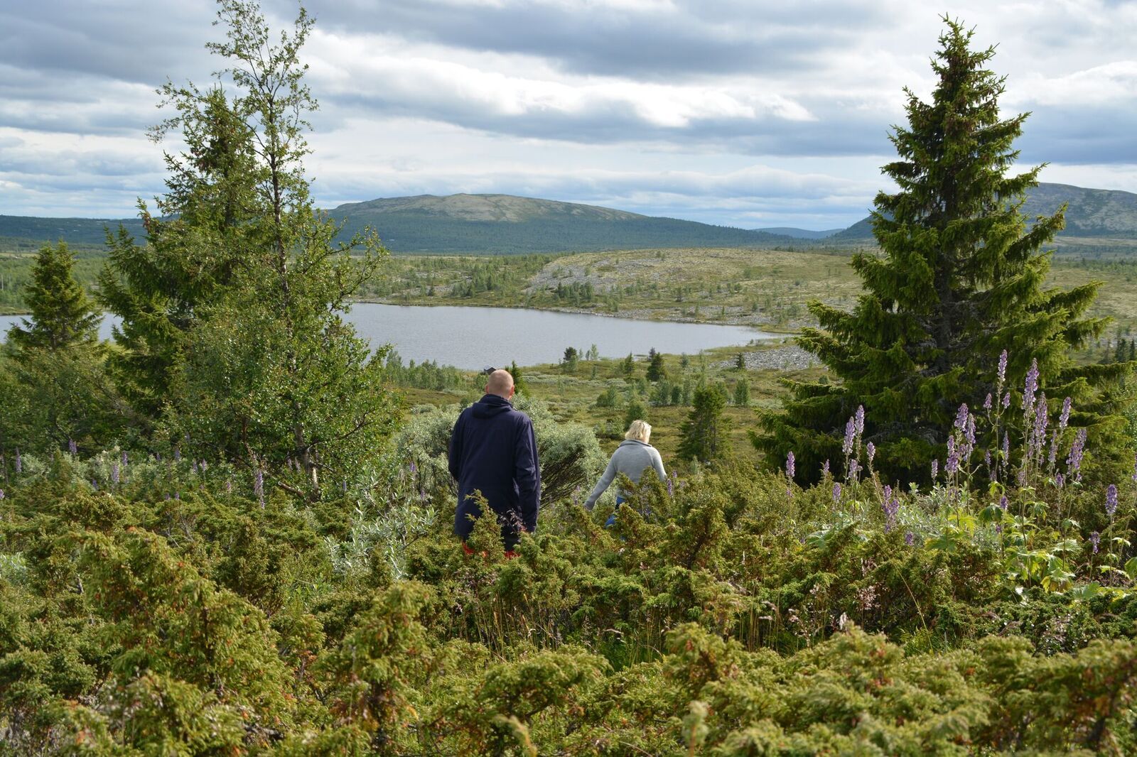 Flaksjølihøgda