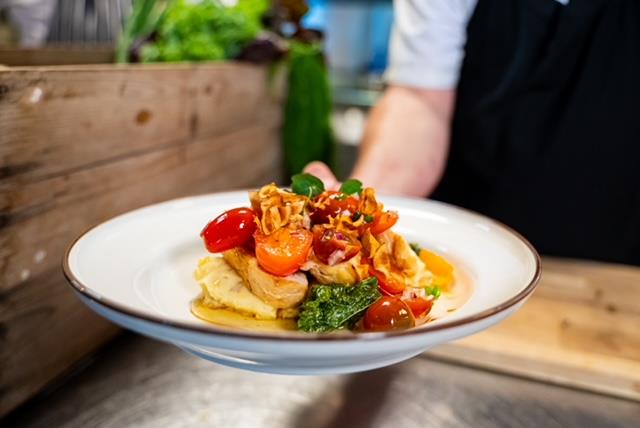 An arm holding a plate of food 