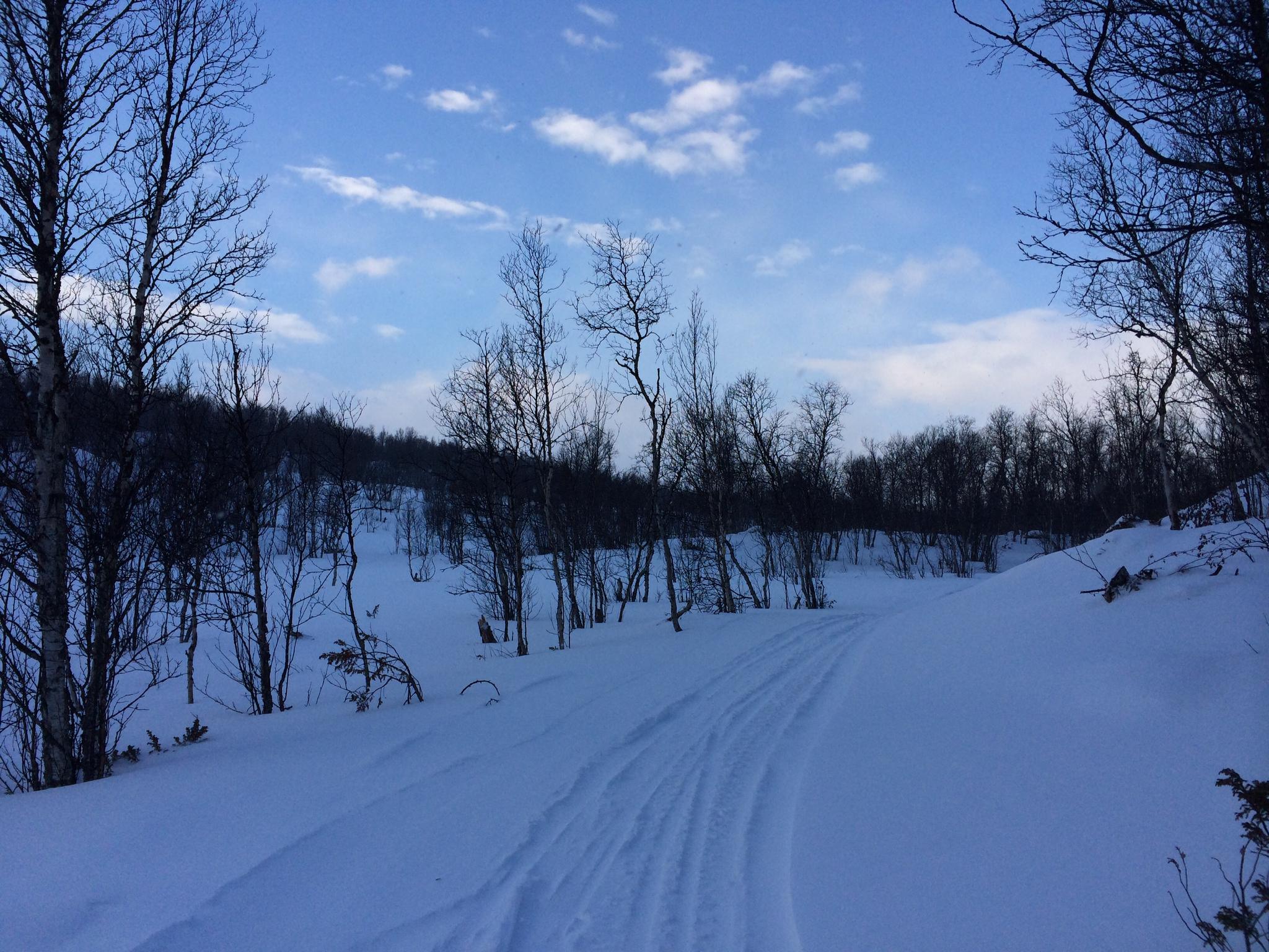 Skiløyper