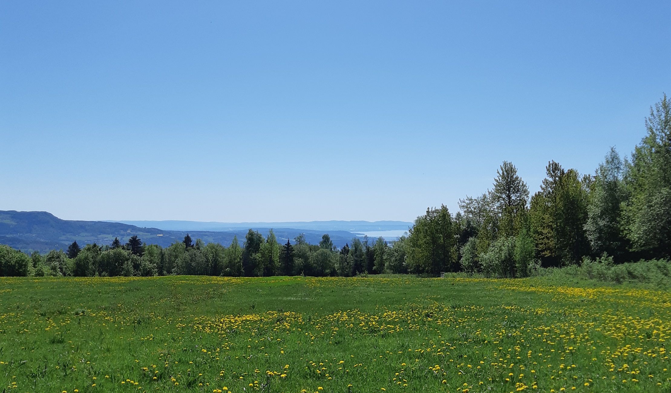 Town-to-town day trip from Moelv to Brumunddal