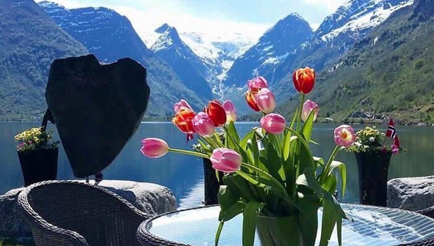 Vase of pink and red tulips on a glass patio table with wicker chairs, Oldenvatnet lake, and snowy mountains beyond at Yrinset in Oldedalen, Norway..