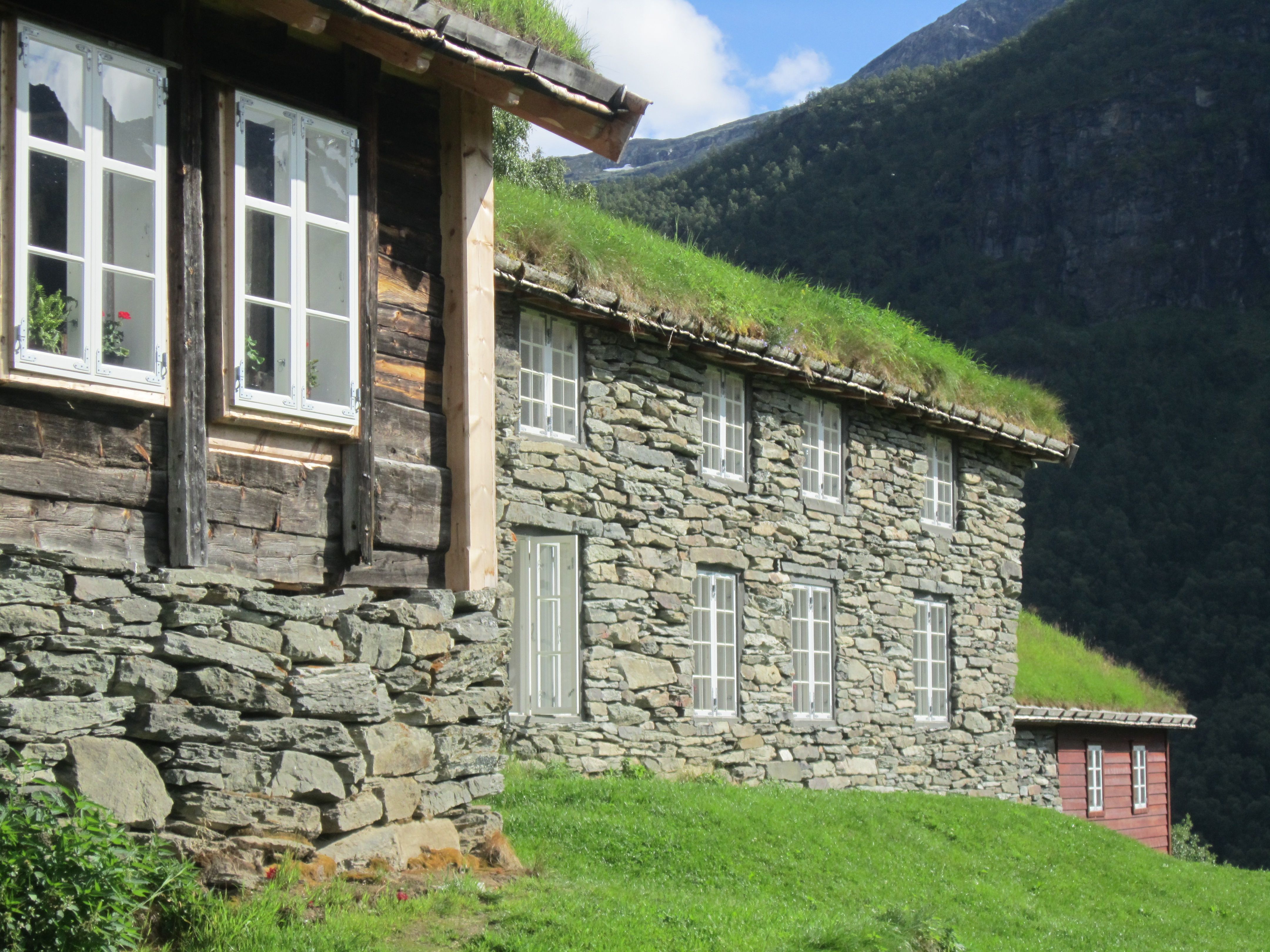 Fuglesteg
